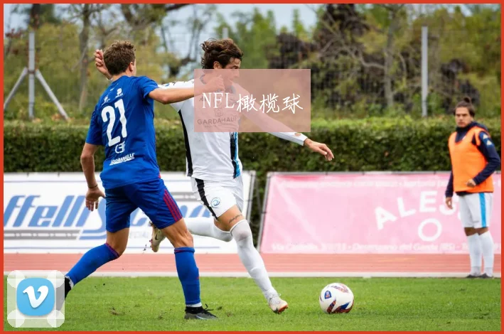 NFL橄榄球
