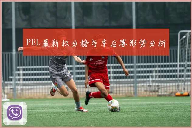 PEL最新积分榜与季后赛形势分析