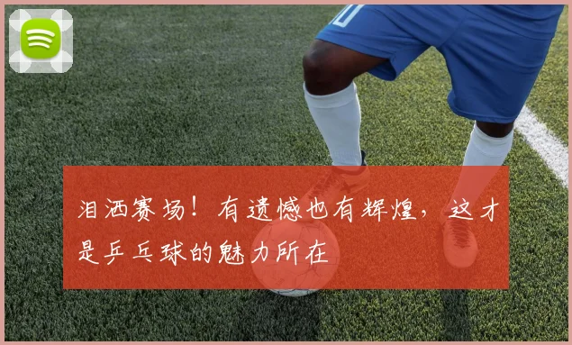 泪洒赛场!有遗憾也有辉煌,这才是乒乓球的魅力所在