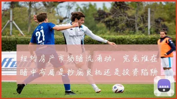 纽约房产市场暗流涌动，究竟谁在暗中布局是抄底良机还是投资陷阱