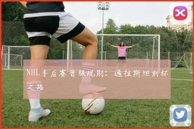 NHL季后赛晋级规则：通往斯坦利杯之路