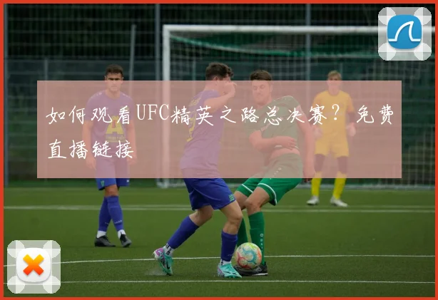 如何观看UFC精英之路总决赛？免费直播链接