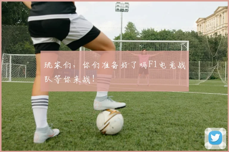 玩家们，你们准备好了吗F1电竞战队等你来战！