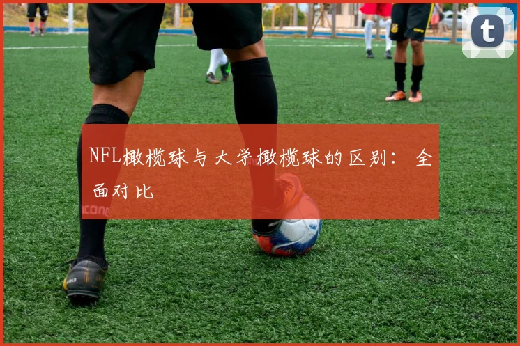 NFL橄榄球与大学橄榄球的区别：全面对比