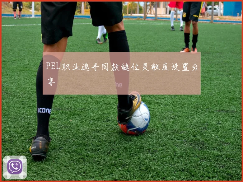 PEL职业选手同款键位灵敏度设置分享
