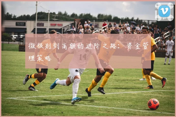 微级别到高额的进阶之路:资金管理策略